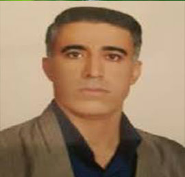 دکتر حسین محمدی